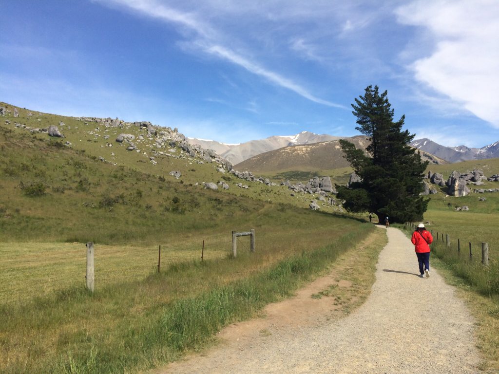 south_island_nz_boulders